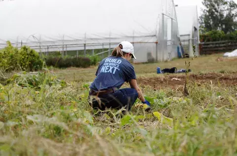 ms-1216x800.jpg person with a build for whats next t-shirt working in a gardon with green houses in background